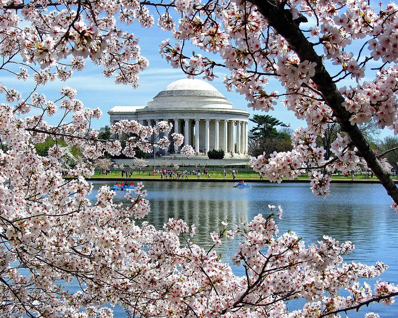 Tidal Basin — Washington DC